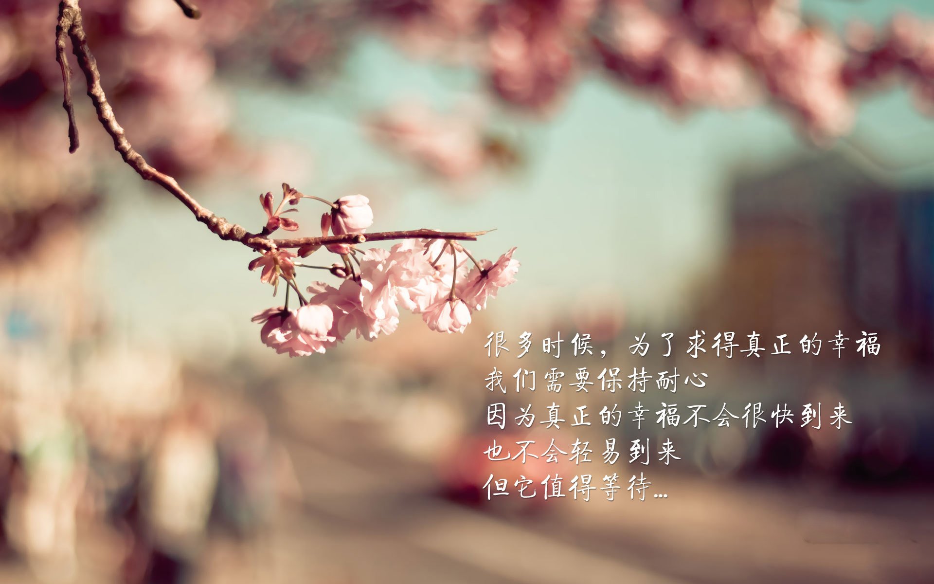 未来之星计划，青少年篮球培养新模式，未来星篮球培训