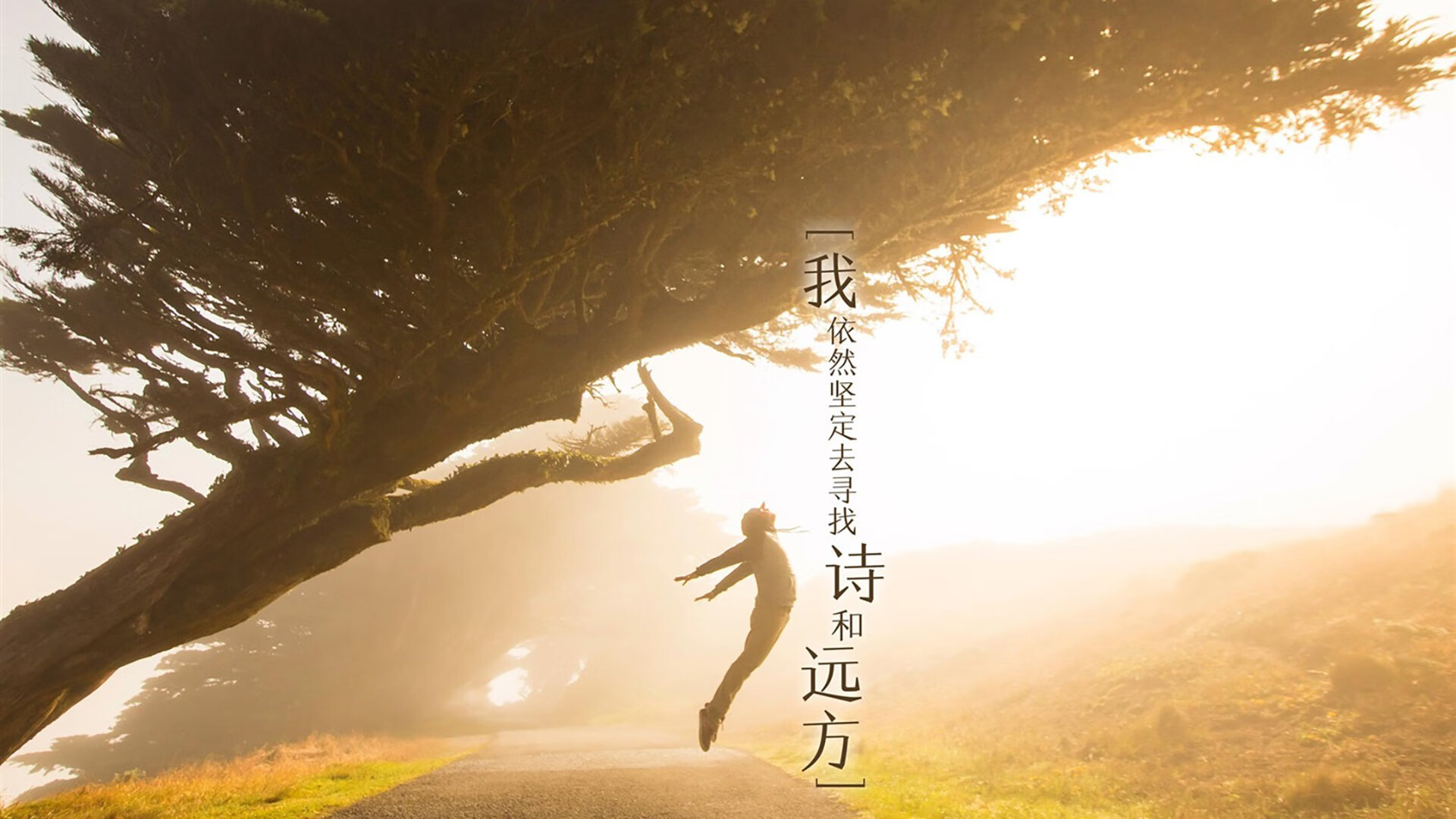 加拿大队在国际乒联混合团体世界杯中的强劲表现分析，加拿大乒乓球队员名单